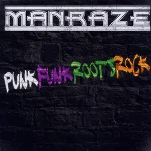 Punk funk roots rock